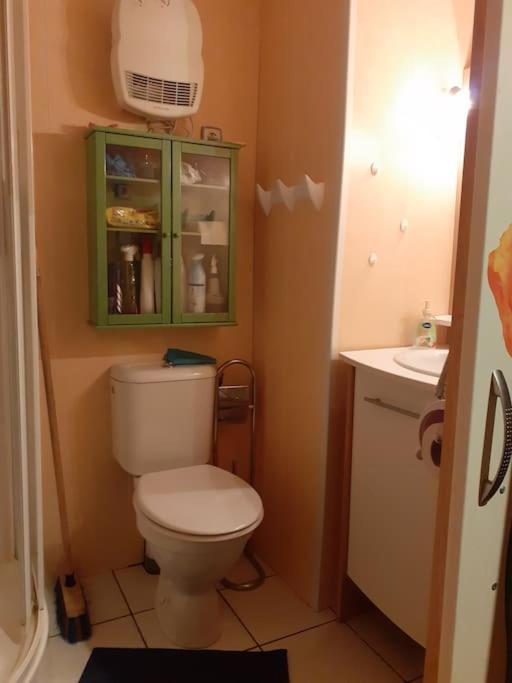 Appartement Face Au Thermes Et Au Calme Bagnères-de-Luchon Eksteriør bilde